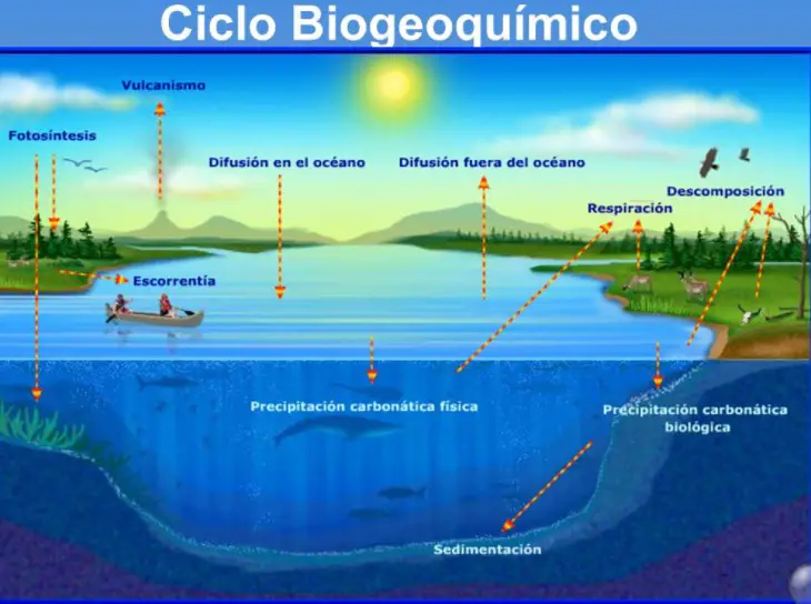 ciclo biogeoquimico - ciclo del agua
