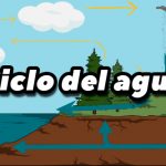 Ciclo del agua