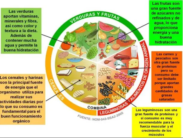 Explicacion Del Plato Del Buen Comer