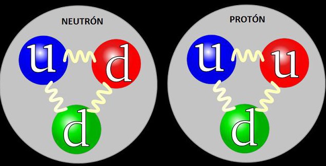 neutron y proton