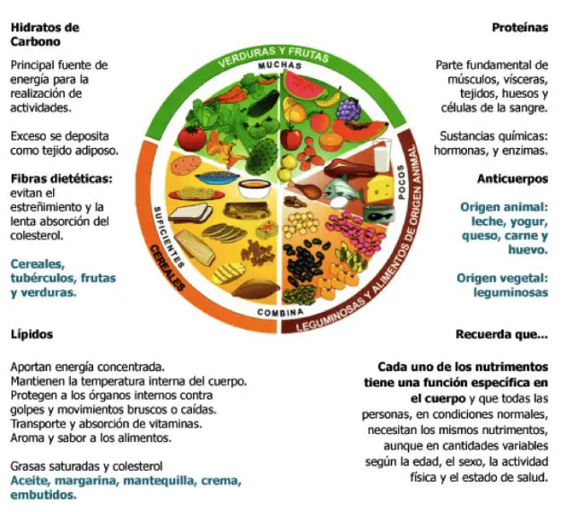 Explicacion Del Plato Del Buen Comer