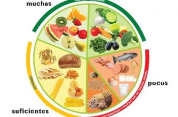Explicacion Del Plato Del Buen Comer