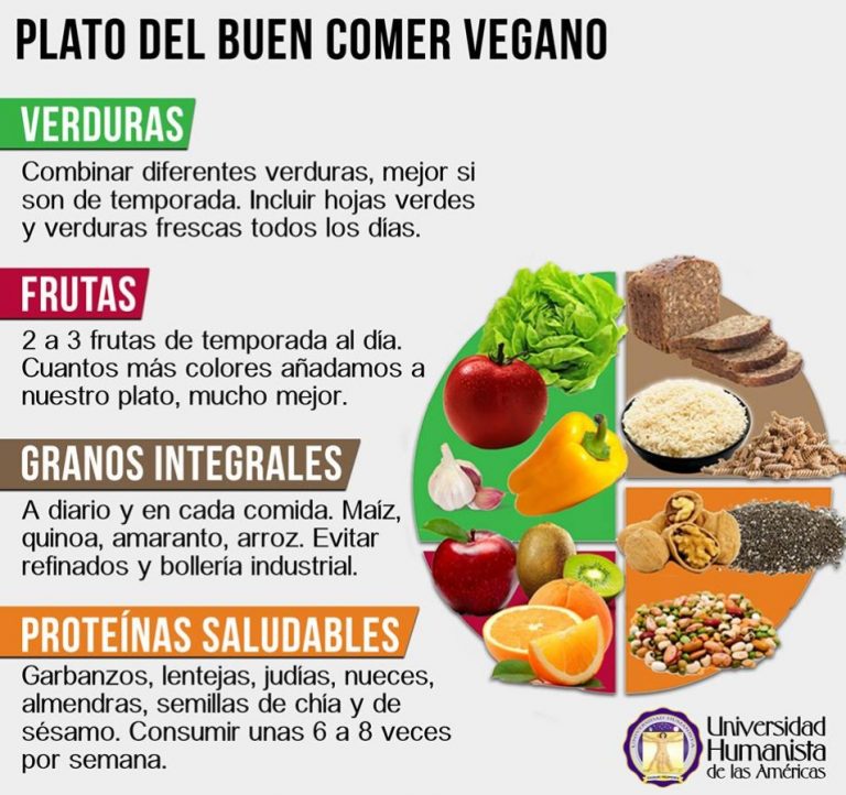 Explicacion del Plato del Buen Comer