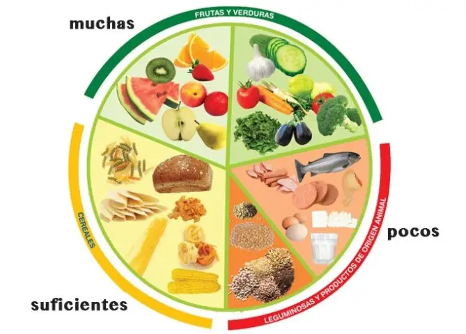 Explicacion del Plato del Buen Comer