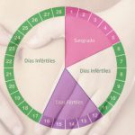 Calendario ciclo de la menstruacion