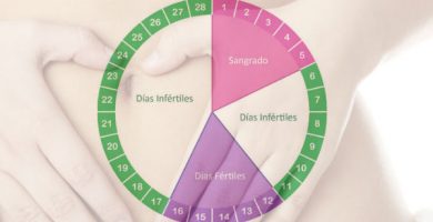 Calendario ciclo de la menstruacion