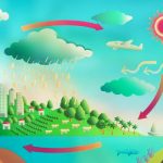ciclo del dioxido de carbono