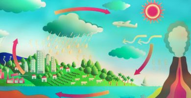 ciclo del dioxido de carbono