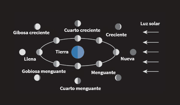 Ciclo Lunar calendario ciclos lunares
