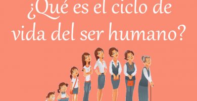 ciclo de vida del ser humano