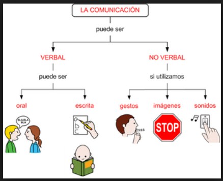 Ciclo de la comunicación: fases e importancia.