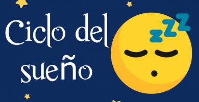 Ciclo de sueño
